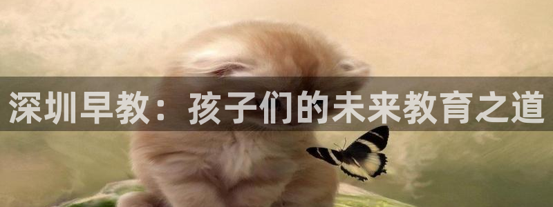 恒行2卫74OOO5：深圳早教：孩子们的未来教育之道