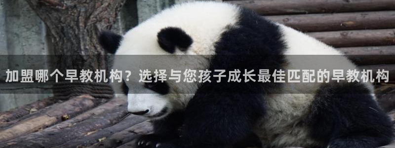 恒行娱乐周74OOO5：加盟哪个早教机构？选择与您孩子成长最佳匹配的早教机构