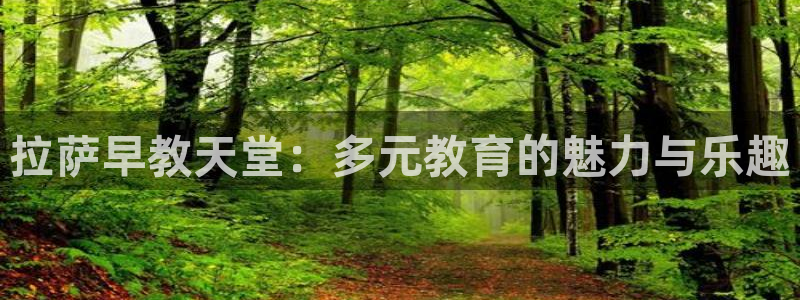 恒行2那74OOO5:拉萨早教天堂:多元教育的魅力与乐趣