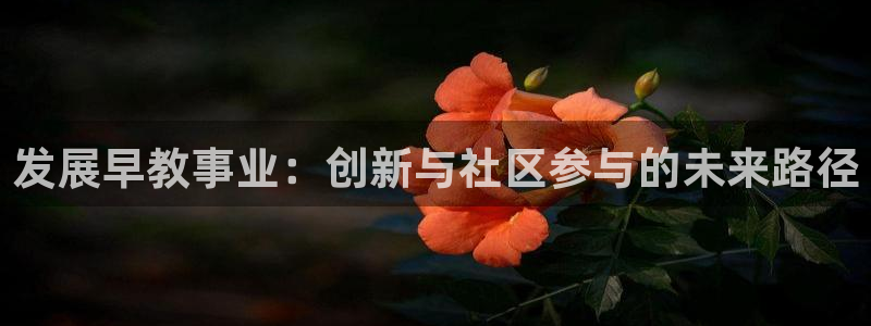 恒行2朱74OOO5：发展早教事业：创新与社区参与的未来路径