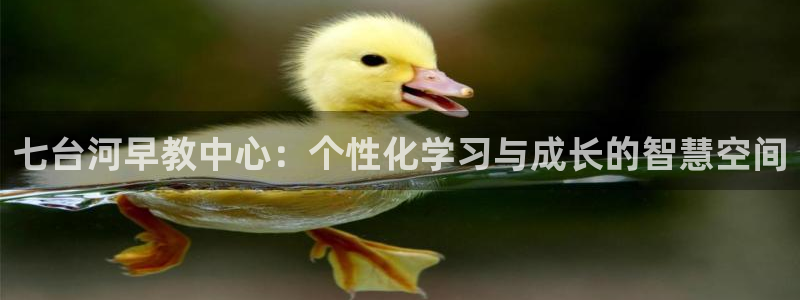 恒行娱乐老板推荐5ll533主管：七台河早教中心：个性化学习与成长的智慧空间