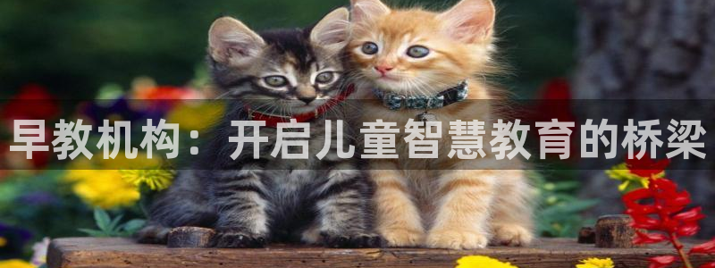 恒行娱乐热74ooo5主宰:早教机构:开启儿童智慧教育的桥梁