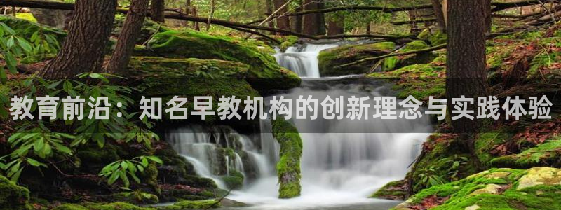 恒行娱乐掌74ooo5呀蚕：教育前沿：知名早教机构的创新理念与实践体验