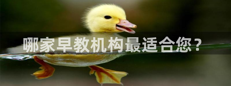 恒行娱乐陈74OOO5：哪家早教机构最适合您？