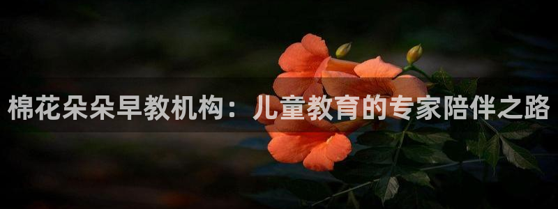 恒行娱乐掌74ooo5呀蚕：棉花朵朵早教机构：儿童教育的专家陪伴之路