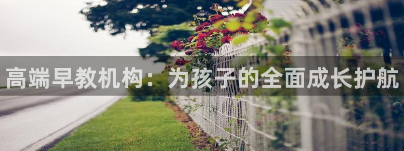 恒行2周74OOO5：高端早教机构：为孩子的全面成长护航