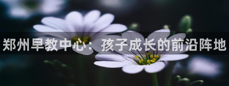 恒行登录老大6ll5l典型：郑州早教中心：孩子成长的前沿阵地