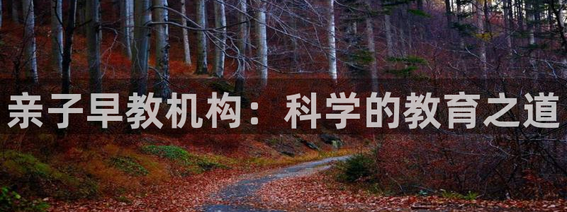 恒行娱乐热74ooo5主宰：亲子早教机构：科学的教育之道
