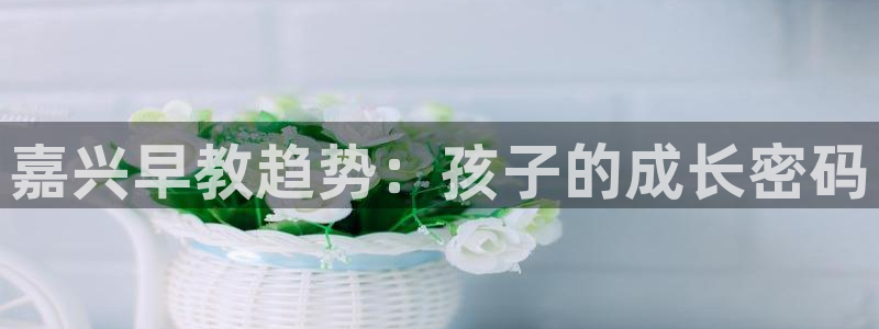 恒行娱乐登录5ll533主管一流：嘉兴早教趋势：孩子的成长密码