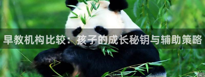 恒行娱乐度74ooo5聘霖：早教机构比较：孩子的成长秘钥与辅助策略