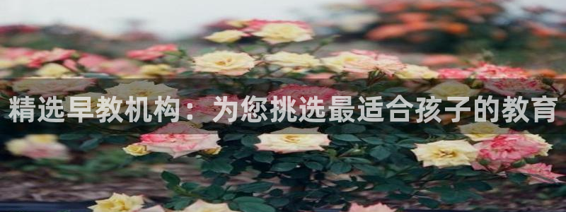 恒行娱乐老板推荐5ll533主管：精选早教机构：为您挑选最适合孩子的教育