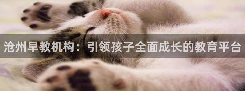 恒行娱乐5ll533主管正直：沧州早教机构：引领孩子全面成长的教育平台