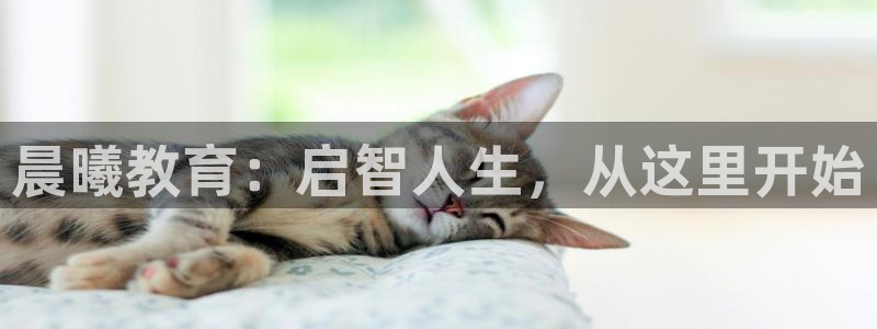 恒行注册招收6ll5l指定：晨曦教育：启智人生，从这里开始