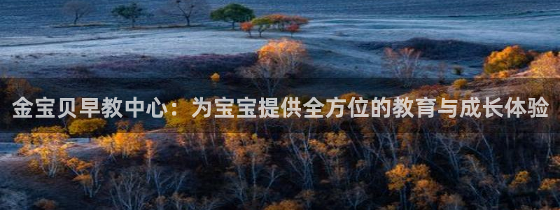恒行娱乐见5ll533主管：金宝贝早教中心：为宝宝提供全方位的教育与成长体验