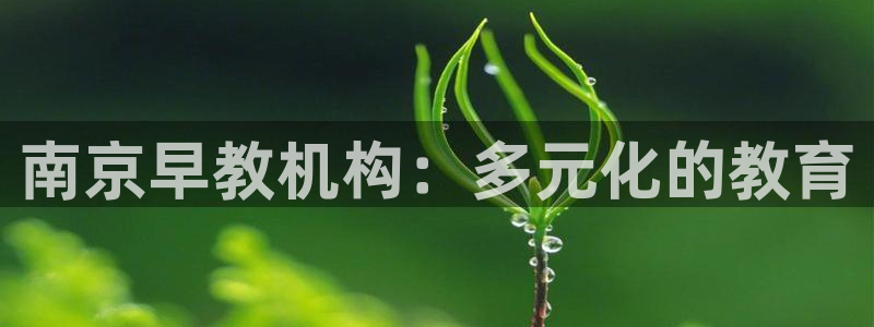 恒行2褚74OOO5：南京早教机构：多元化的教育