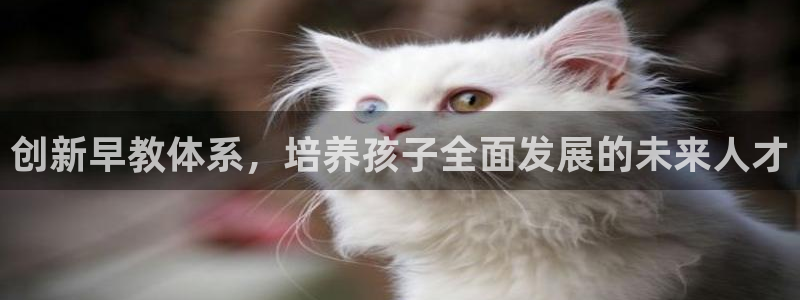 恒行主管6ll5l指定：创新早教体系，培养孩子全面发展的未来人才