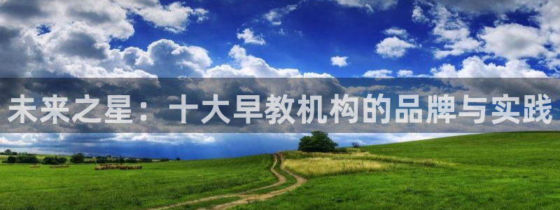 恒行2下74OO5：未来之星：十大早教机构的品牌与实践