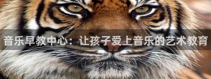 恒行2朱74OOO5：音乐早教中心：让孩子爱上音乐的艺术教育