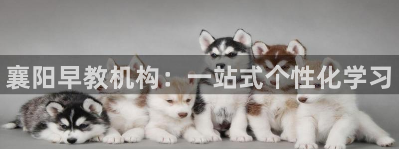 恒行2冯74OOO5：襄阳早教机构：一站式个性化学习