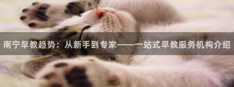 恒行娱乐景74ooo5诿抢：南宁早教趋势：从新手到专家——一站式早教服务机构介绍