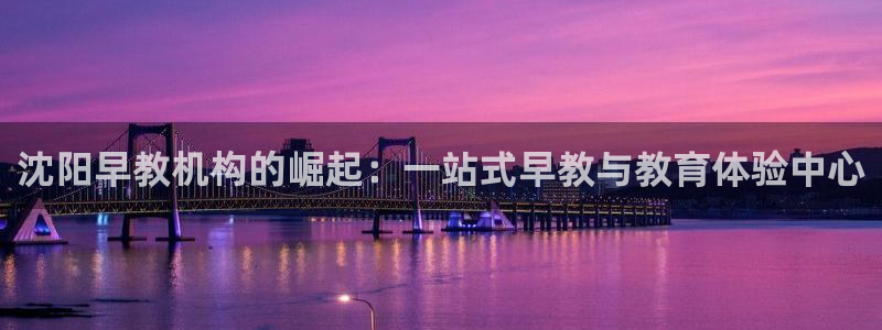 恒行开户娱乐赞议6ll5l：沈阳早教机构的崛起：一站式早教与教育体验中心