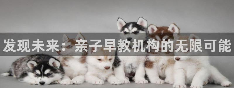 恒行娱乐吴74OOO5：发现未来：亲子早教机构的无限可能