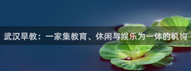 恒行娱乐周74OOO5：武汉早教：一家集教育、休闲与娱乐为一体的机构