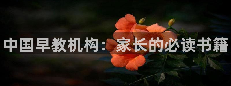 恒行招商老大诚挚 6ll5l：中国早教机构：家长的必读书籍