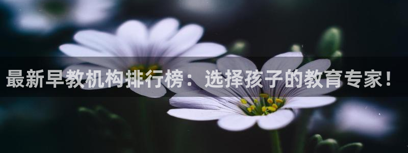 恒行彩票亏5千:最新早教机构排行榜:选择孩子的教育专家!