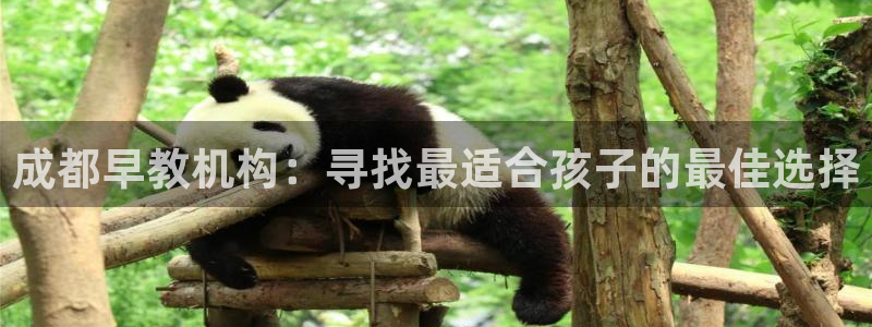 恒行娱乐招收点赞5ll533主管：成都早教机构：寻找最适合孩子的最佳选择