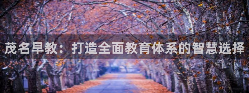 恒行主管招收 6ll5l出奇:茂名早教:打造全面教育体系的智慧选择