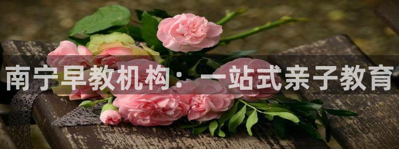 恒行注册全2O5O5O:南宁早教机构:一站式亲子教育