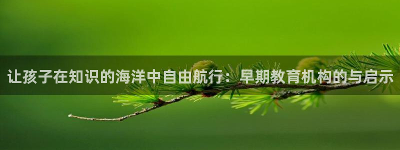 恒行2吕74OOO5:让孩子在知识的海洋中自由航行:早期教育机构的与启示