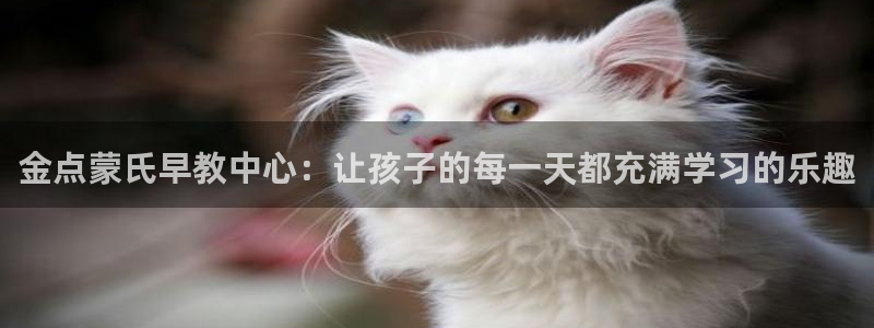 恒行注册招收6ll5l指定:金点蒙氏早教中心:让孩子的每一天都充满学习的乐趣