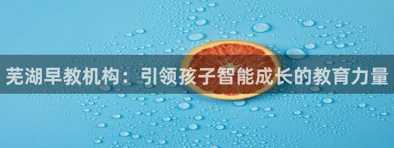 恒行5娱乐：芜湖早教机构：引领孩子智能成长的教育力量