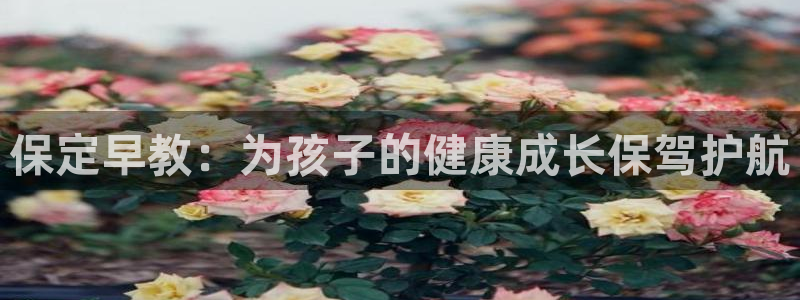 恒行登录就搜6ll5l:保定早教:为孩子的健康成长保驾护航