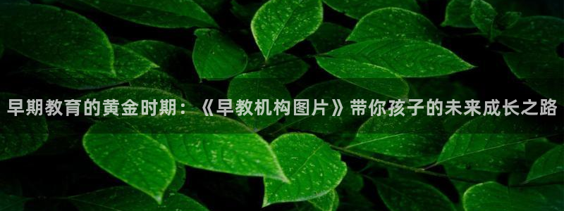 恒行娱乐周74OOO5：早期教育的黄金时期：《早教机构图片》带你孩子的未来成长之