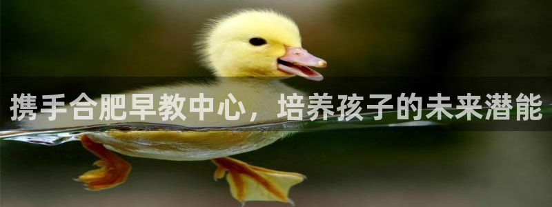 恒行娱乐寻问74 5:携手合肥早教中心,培养孩子的未来潜能