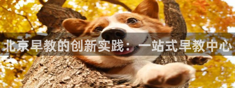 恒行娱乐5ll533主管优雅:北京早教的创新实践:一站式早教中心
