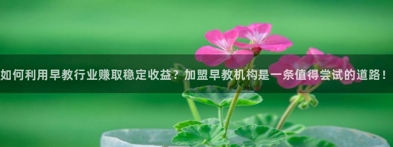 恒行2尤74OOO5:如何利用早教行业赚取稳定收益?加盟早教机构是一条值得尝试的