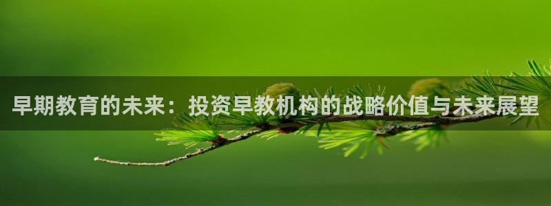 恒行2朱74OOO5:早期教育的未来:投资早教机构的战略价值与未来展望