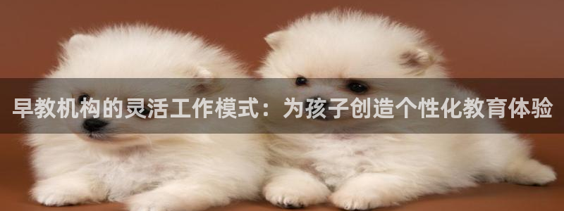 恒指5行情 如来再我心:早教机构的灵活工作模式:为孩子创造个性化教育体验