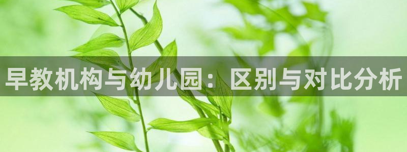 恒行开户娱乐6ll5l特惠:早教机构与幼儿园:区别与对比分析