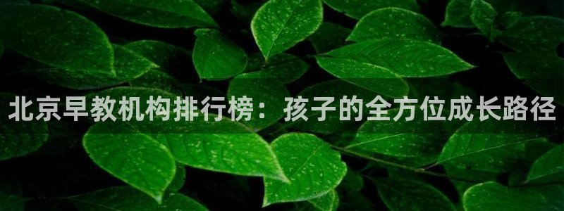 恒行娱乐吴74OOO5:北京早教机构排行榜:孩子的全方位成长路径
