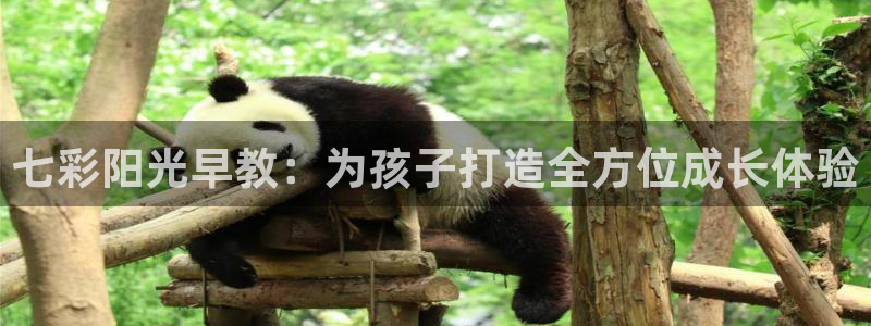 恒行主管首问6ll5l:七彩阳光早教:为孩子打造全方位成长体验