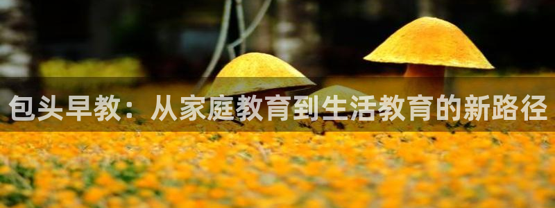 恒行娱乐陈74OOO5:包头早教:从家庭教育到生活教育的新路径