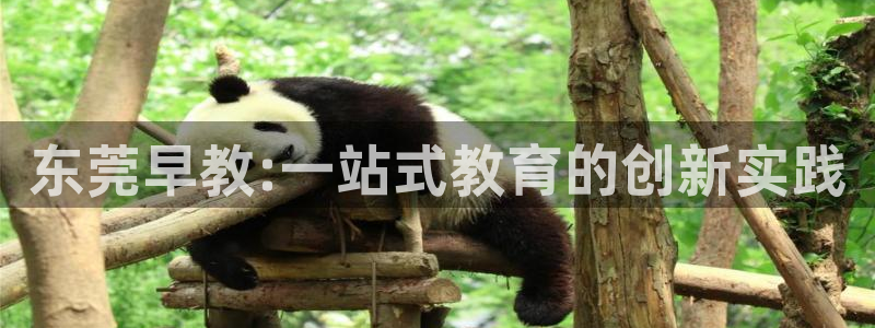 恒行娱乐热74ooo5主宰:东莞早教:一站式教育的创新实践