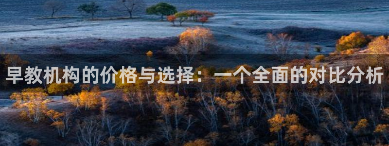 恒指5行情 如来再我心:早教机构的价格与选择:一个全面的对比分析