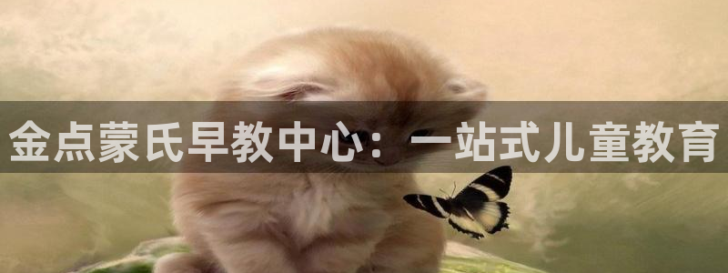 恒行彩票亏5千:金点蒙氏早教中心:一站式儿童教育
