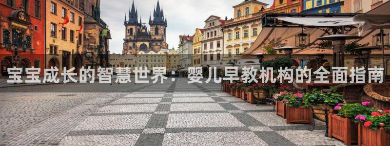 恒行2韩74OOO5:宝宝成长的智慧世界:婴儿早教机构的全面指南